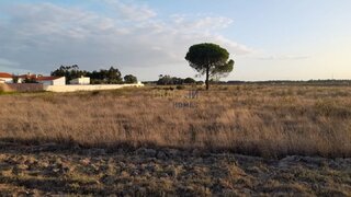 Land for sale in Salvaterra de Magos, Portugal — €180,000