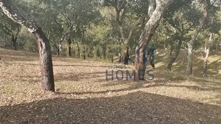 Land for sale in Grândola, Portugal — €300,000
