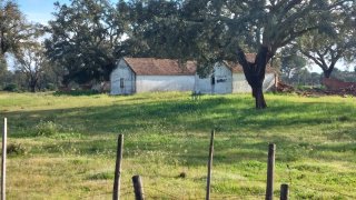 Land for sale in Grândola, Portugal