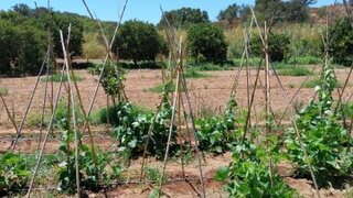 Land for sale in Castro Marim, Portugal — €65,000