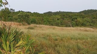 Land for sale in Odemira, Portugal — €450,000