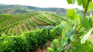 Land for sale in Vila Nova de Foz Côa, Portugal — €720,000