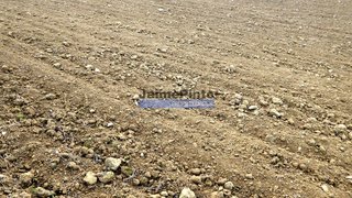 Land for sale in Figueira de Castelo Rodrigo, Portugal — €160,000