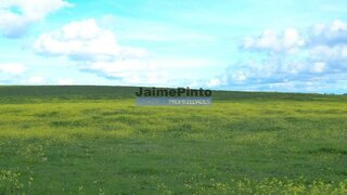 Land for sale in Figueira de Castelo Rodrigo, Portugal — €265,000