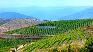 Land for sale in Porto, Portugal — €2,250,000