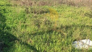 Land for sale in Santa Maria da Feira, Portugal — €280,000