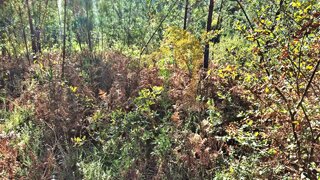 Land for sale in Santa Maria da Feira, Portugal — €105,000