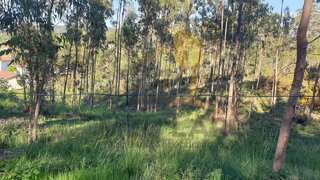 Land for sale in Santa Maria da Feira, Portugal — €50,000