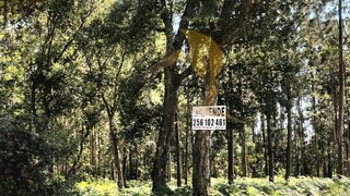 Land for sale in Oliveira de Azeméis, Portugal — €45,000
