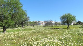 Land for sale in Faro, Portugal — €3,000,000