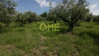 Land for sale in Ourém, Portugal — €25,000