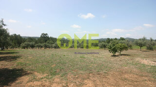 Land for sale in Ourém, Portugal — €50,000