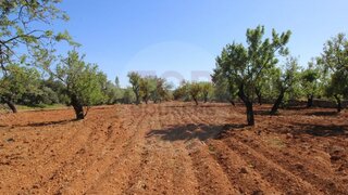 Terreno de 8250 m² em Faro