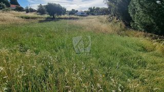 Land for sale in Castelo Branco, Portugal — €54,000