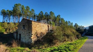 Terreno de 13 600 m² em Castelo Branco