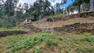Land for sale in Sertã, Portugal — €17,500