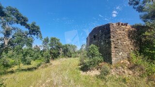 Terreno de 24 920 m² em Castelo Branco