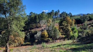 Land for sale in Fundão, Portugal — €17,000