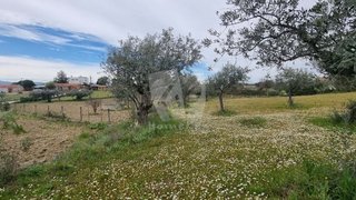 Terreno em Castelo Branco