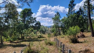 Land for sale in Castelo Branco, Portugal — €7,500