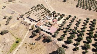 Terreno de 560 000 m² em Castelo Branco