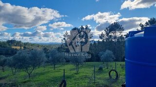 Terreno para venda em Proença-a-Nova, Portugal — 16 000 €
