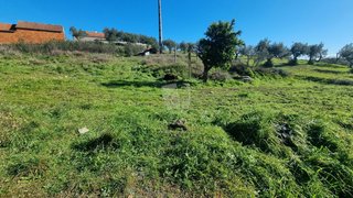 Terreno de 2520 m² em Castelo Branco