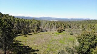Terreno de 8400 m² em Castelo Branco