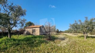 Land for sale in Penamacor, Portugal — €20,000