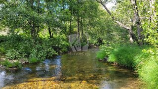 Land for sale in Castelo Branco, Portugal — €11,500