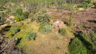 Terreno em Castelo Branco · 5080 m² · 14 000 €