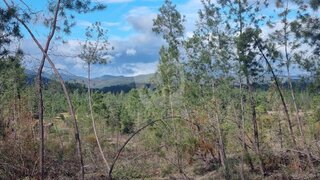 Terreno de 16 773 m² em Castelo Branco