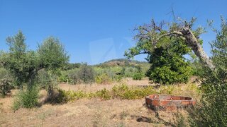 Terreno em Castelo Branco · 1760 m² · 10 000 €