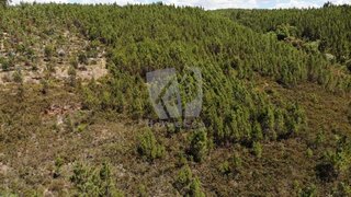 Terreno de 8120 m² em Castelo Branco