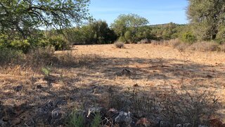 Land for sale in Silves, Portugal — €37,500