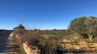 Terreno de 32 120 m² em Lagoa