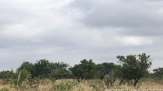 Land for sale in Silves, Portugal — €160,000