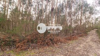 Terreno em Braga