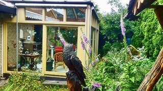 casafari-bild