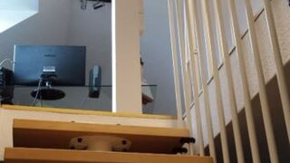casafari-bild