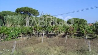 Land for sale in Leiria, Portugal — €120,000