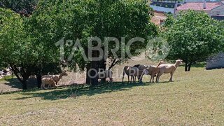 Land for sale in Porto de Mós, Portugal — €180,000