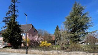 casafari-bild
