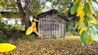 casafari-bild