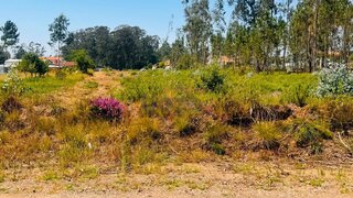 Land for sale in Santa Maria da Feira, Portugal — €85,000