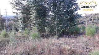 Land for sale in Sertã, Portugal — €2,600