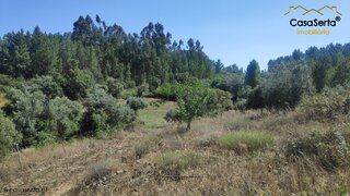 Terreno em Proença-a-Nova