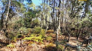Land for sale in Sertã, Portugal — €12,500