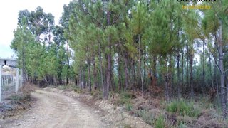 Land for sale in Sertã, Portugal — €34,500