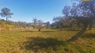 Land for sale in Sertã, Portugal — €45,000